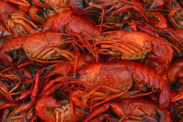 Fresh Crawfish | Premium Seafood • Perfect for Parties & Gatherings