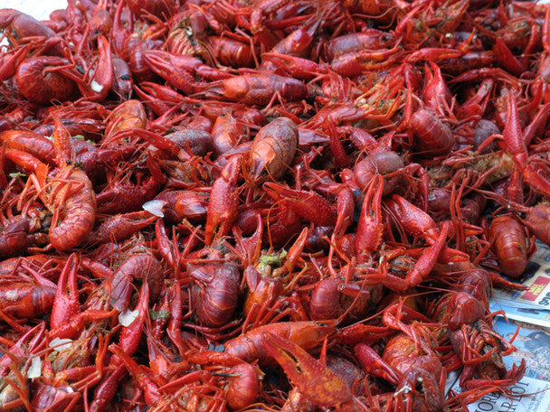 Fresh Crawfish | Premium Seafood • Perfect for Parties & Gatherings