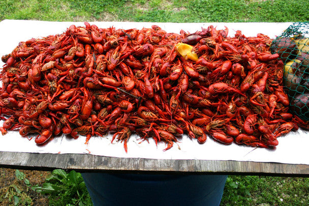 Fresh Crawfish | Premium Seafood • Perfect for Parties & Gatherings