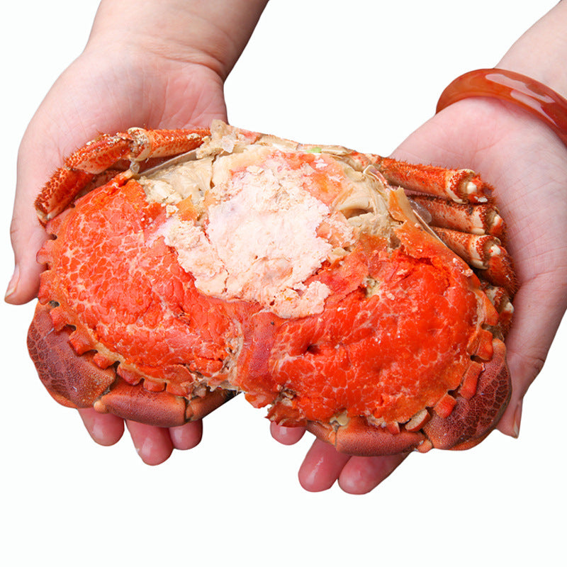 Fresh Bread Crab | Premium Seafood | Tender Meat & High-Protein Nutrition