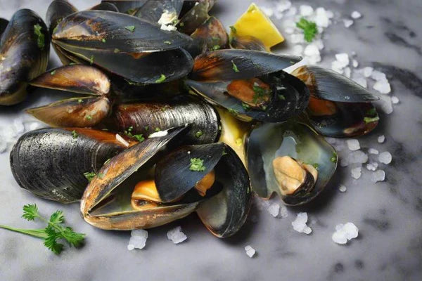 Fresh Frozen Mussels | High-Protein, Low-Fat Seafood • Delicious Taste