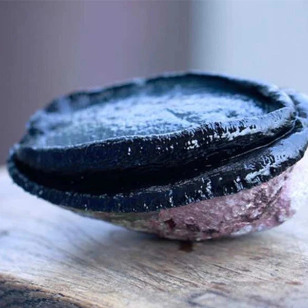 Black Gold Abalone | Premium Seafood Delicacy | Freshly Selected • High-Protein Superfood